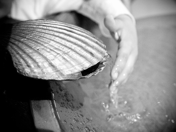 _F272059BW