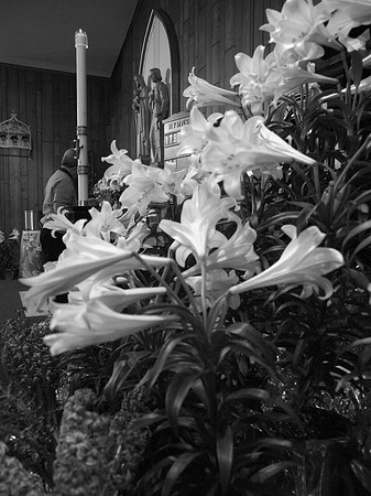 _F271901BW