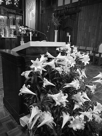 _F271899BW