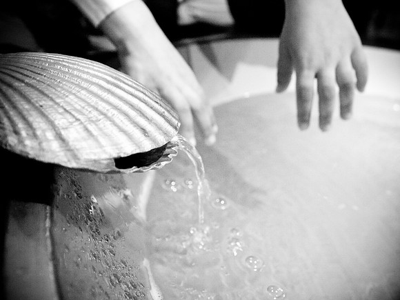 _F272056BW