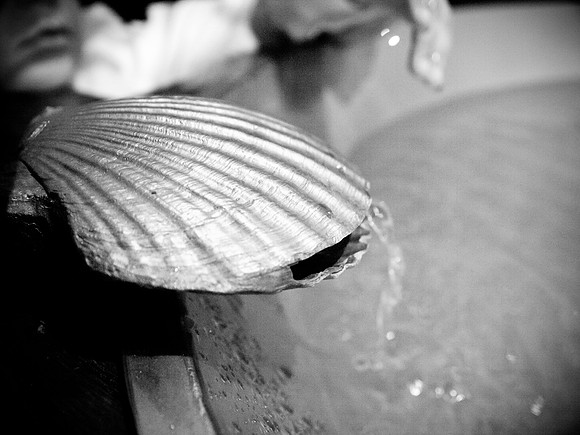 _F272060BW